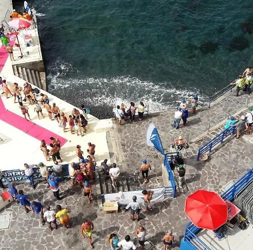 Cosy In Funchal, Sea And Mountain Views, 35 M² Appartement