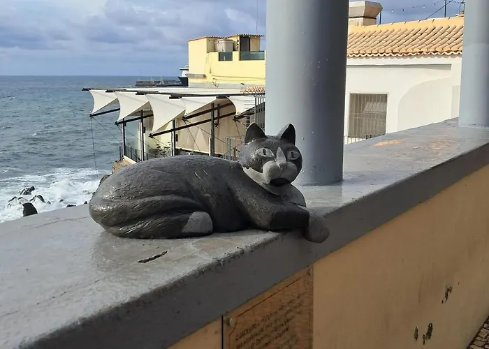 Apartamento Cosy In Funchal, Sea And Mountain Views, 35 M² *