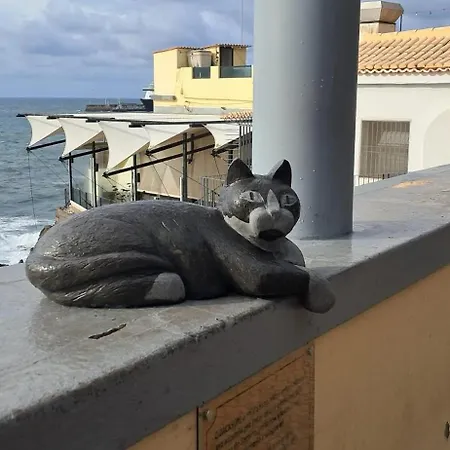 Апартаменты Cosy In Funchal, Sea And Mountain Views, 35 M² *